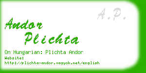 andor plichta business card